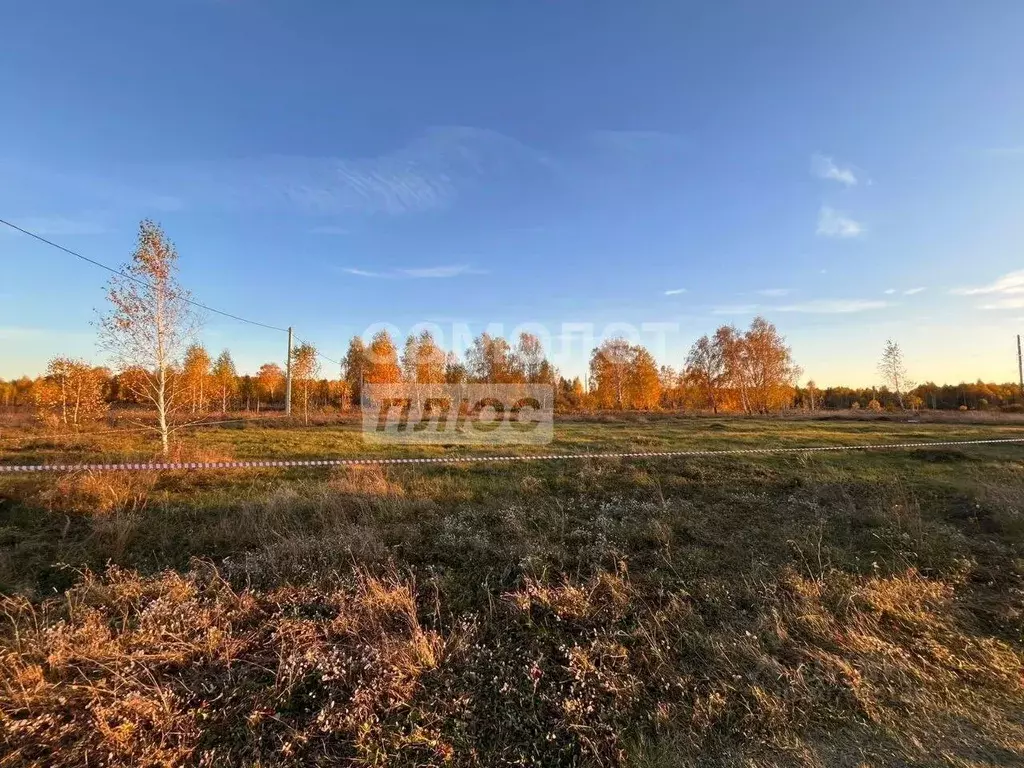 Участок в Челябинская область, с. Аргаяш ул. Пролетарская (13.0 сот.) - Фото 1