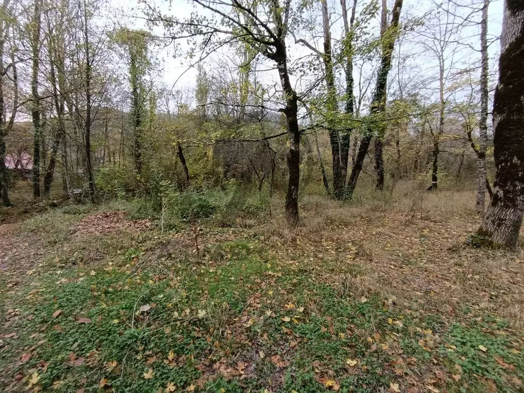 Участок в Краснодарский край, Туапсинский муниципальный округ, ... - Фото 2