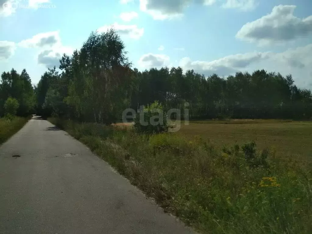 Участок в Клинцовский район, Смотровобудское сельское поселение (440 ... - Фото 2