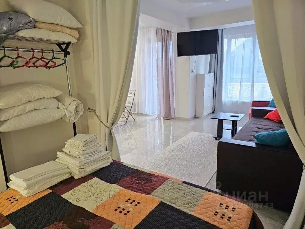 1-к кв. Краснодарский край, Сочи городской округ, Дагомыс пгт ул. ... - Фото 1