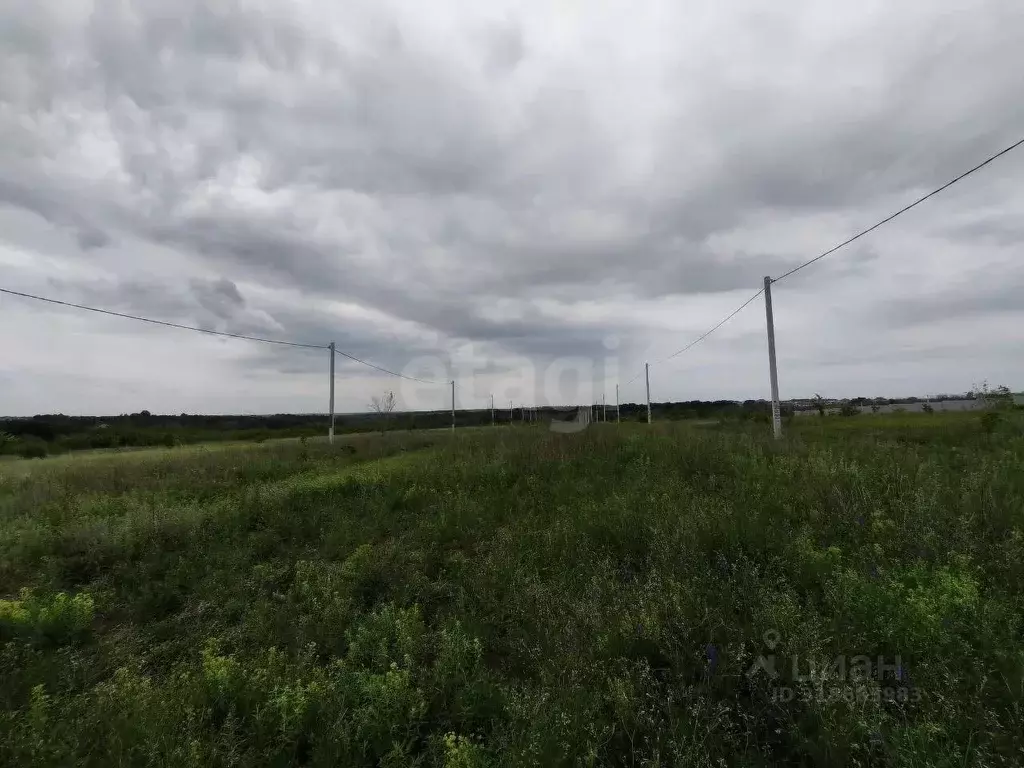 Участок в Белгородская область, Белгородский район, Дубовское с/пос, ... - Фото 0