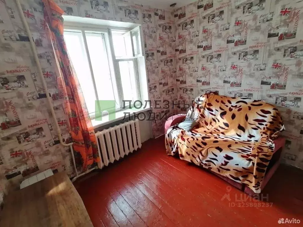 Студия Курганская область, Курган ул. Ленина, 39 (26.0 м) - Фото 1