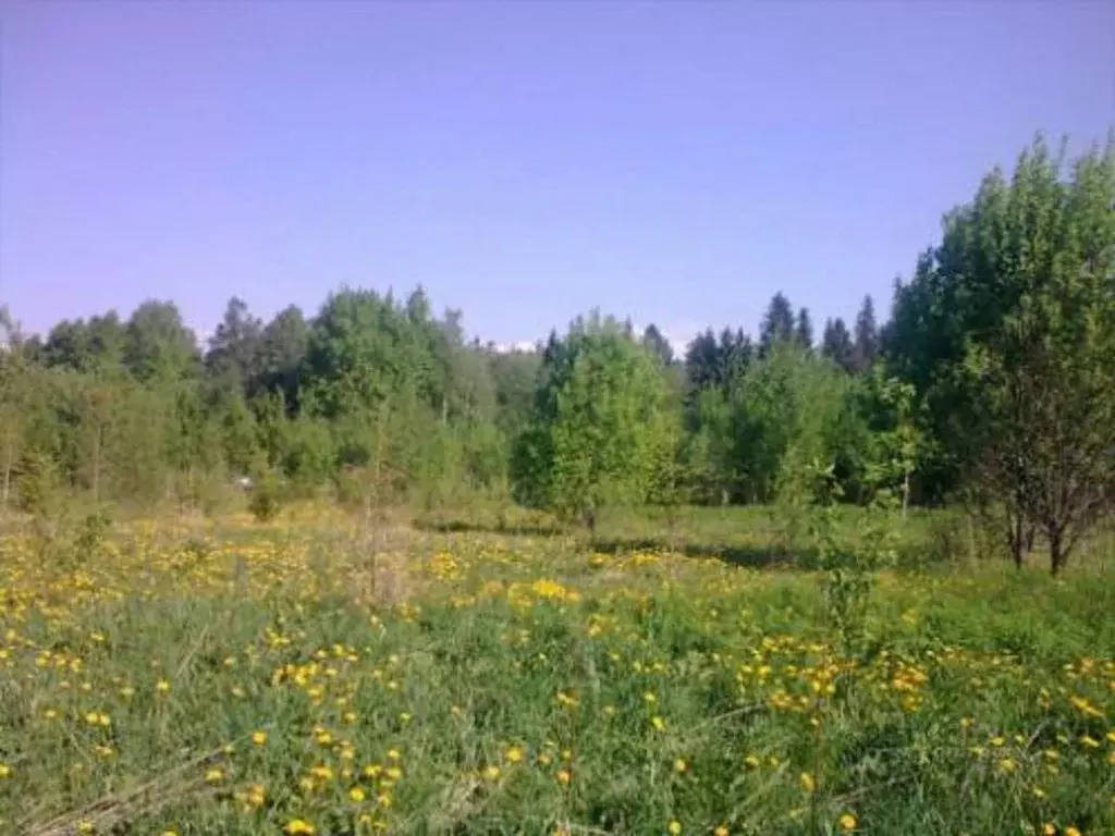 Участок в Ленинградская область, Лужский район, Володарское с/пос, ... - Фото 0