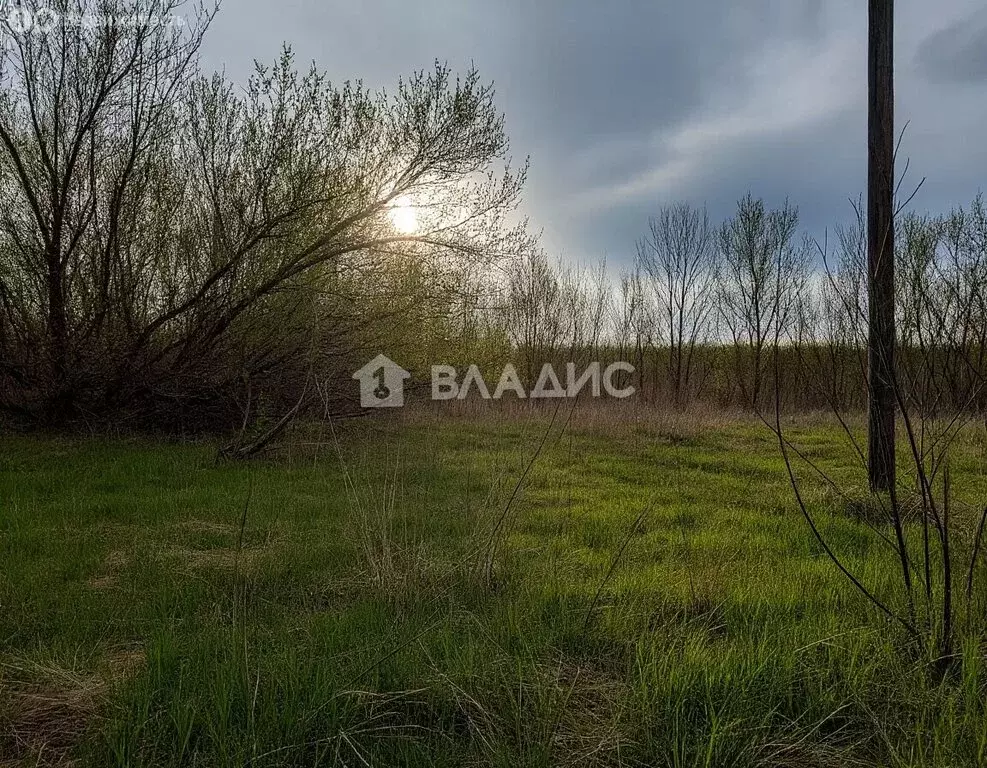 Участок в село Орлово, Школьная улица, 82 (15 м) - Фото 2