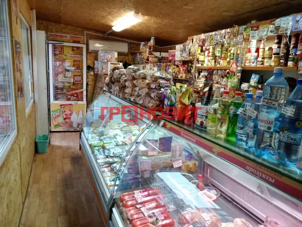 Помещение свободного назначения в Новосибирская область, Новосибирск ... - Фото 1