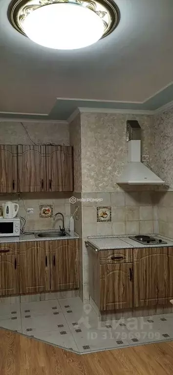 Студия Санкт-Петербург пос. Шушары, Школьная ул., 6к2 (26.0 м) - Фото 0