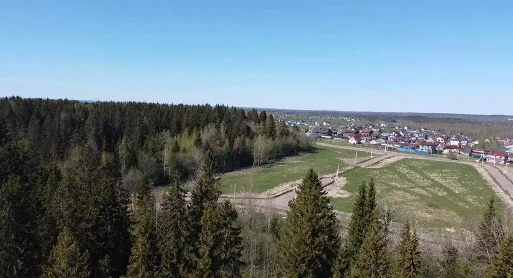 Участок в Ленинградская область, Всеволожский район, Куйвозовское ... - Фото 2