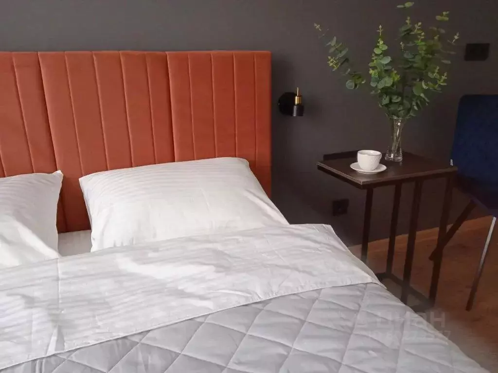 1-к кв. Санкт-Петербург Киевская ул., 5к6 (29.0 м) - Фото 0
