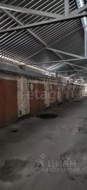 Гараж в Белгородская область, Белгород ул. Жуковского, 2Г (24 м) - Фото 1