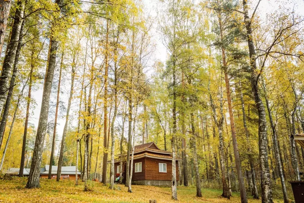 Дом в Карелия, Прионежский район, Шуйское с/пос, Шуйская ст.  (55 м) - Фото 1