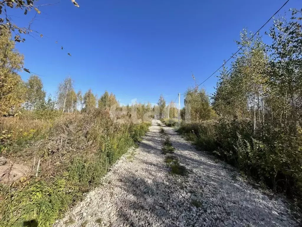 Участок в Тульская область, Тула городской округ, д. Харино ул. ... - Фото 1