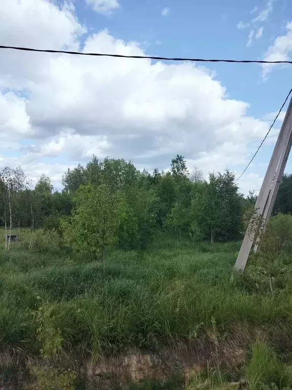Участок в Новгородская область, Новгородский район, Ермолинское с/пос, ... - Фото 0