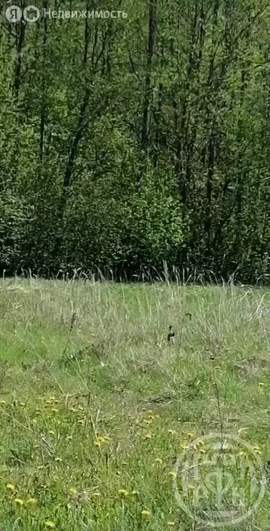 Участок в Заклинское сельское поселение, деревня Турово (18.2 м) - Фото 1