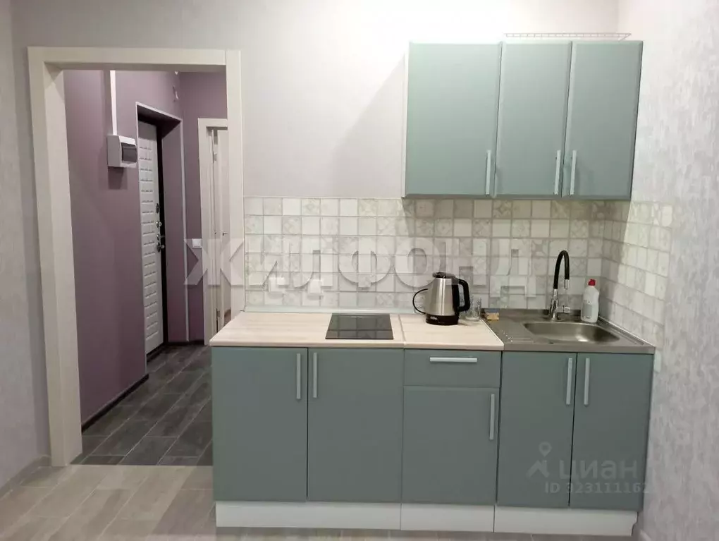 1-к кв. Новосибирская область, Новосибирск Светлановская ул., 52 (27.7 ... - Фото 1