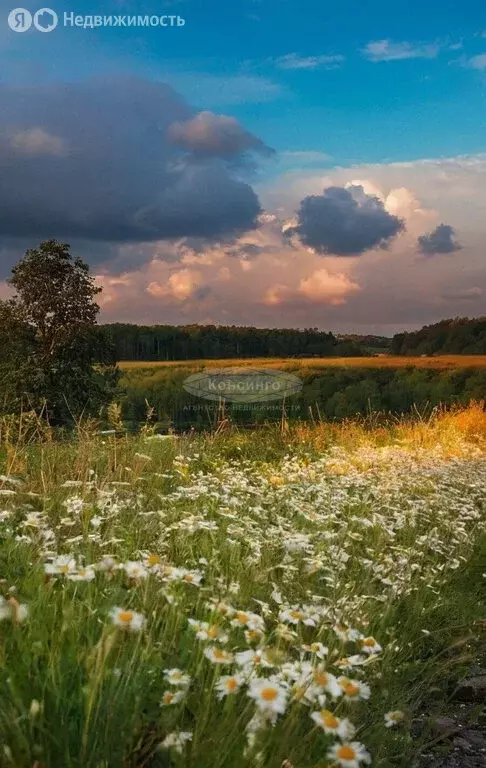 Участок в село Ивановское, улица Микрорайон (29 м) - Фото 1