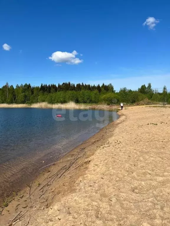 Участок в Ленинградская область, Гатчинский муниципальный округ, ... - Фото 1
