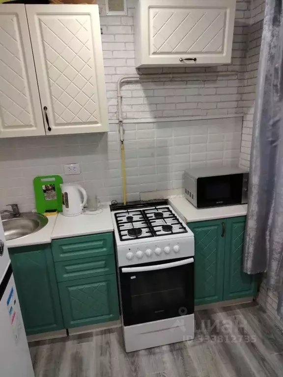 1-к кв. Псковская область, Псков ул. Николая Васильева, 69А (30.0 м) - Фото 1