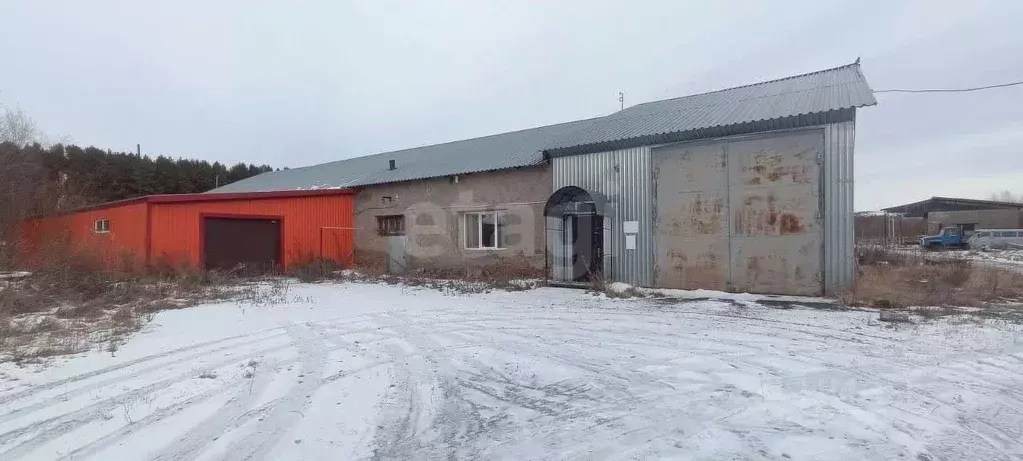 Помещение свободного назначения в Алтайский край, Красногорский район, ... - Фото 1