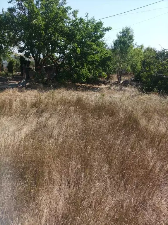 Участок в Крым, Ленинский район, Щелкино городское поселение, ... - Фото 1