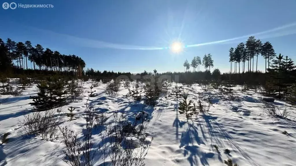 Участок в Читинский район, сельское поселение Смоленское, территория ... - Фото 2