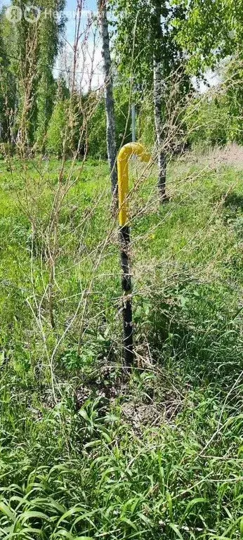 Участок в село Марусино, Весенняя улица (8 м) - Фото 2