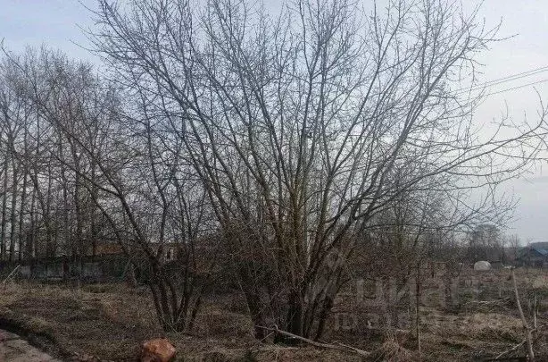 Участок в Московская область, Дмитровский муниципальный округ, д. ... - Фото 0