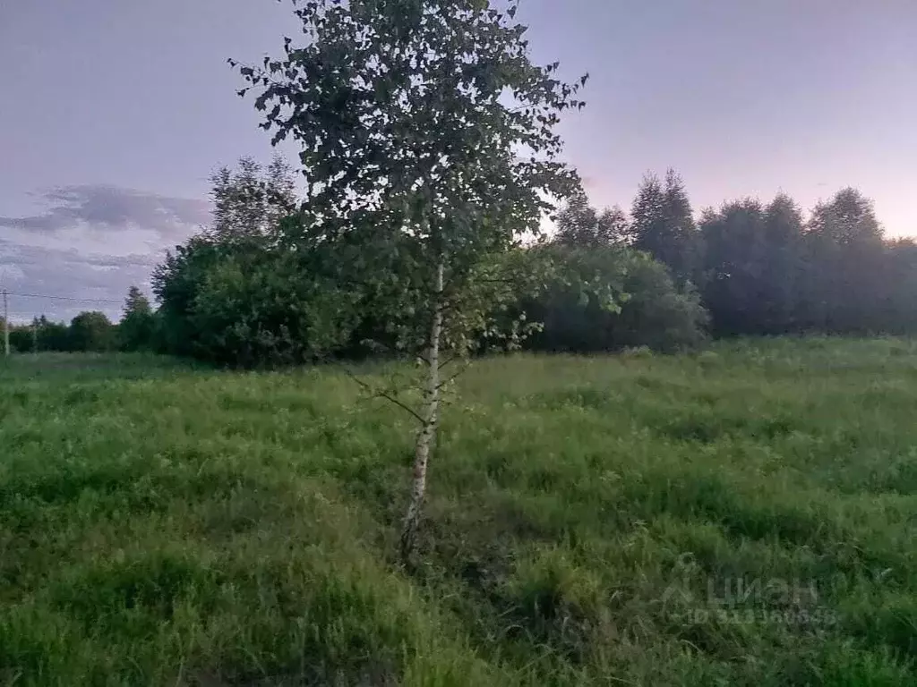 Участок в Московская область, Серпухов городской округ, с. Липицы  ... - Фото 0