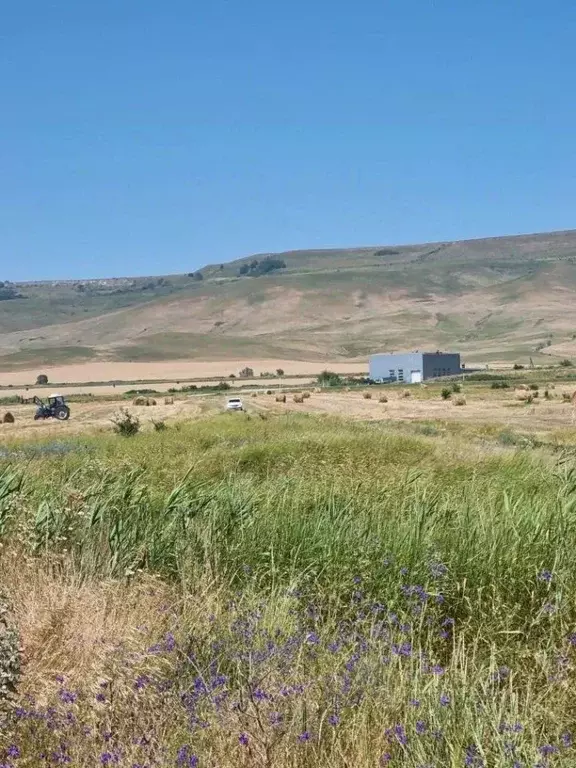 Участок в Ставропольский край, Кочубеевский муниципальный округ, ... - Фото 1