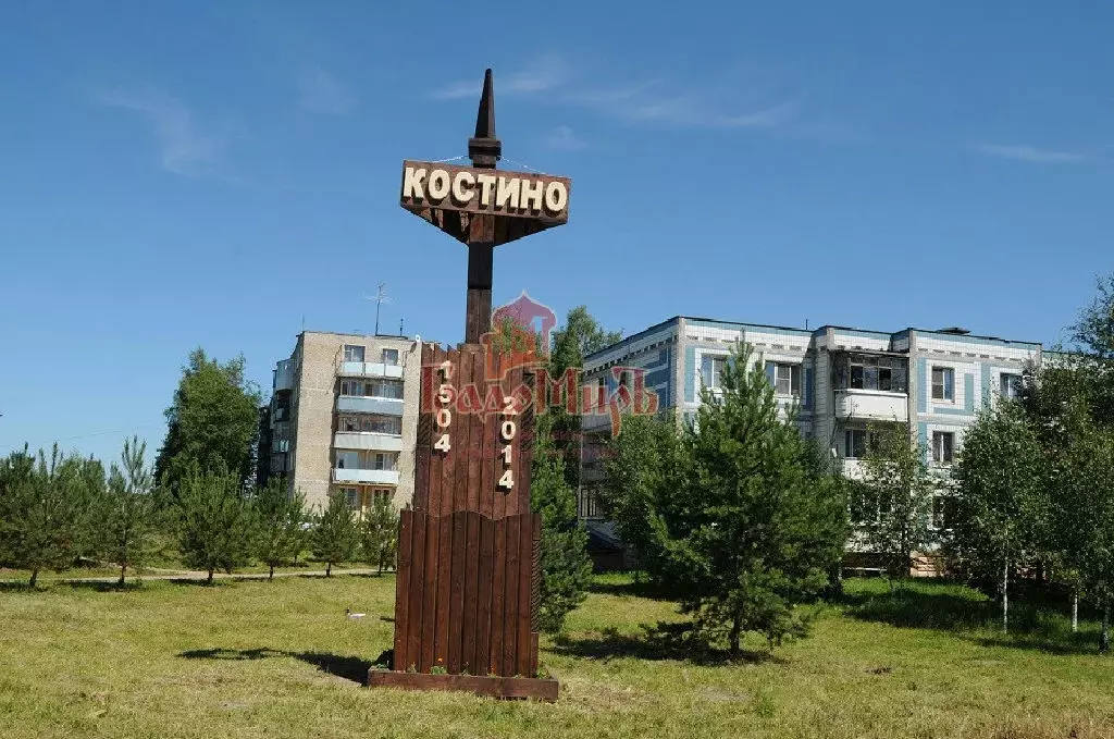 Продается участок в с. Костино - Фото 0