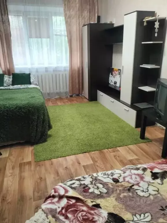 1-к кв. Новосибирская область, Новосибирск Академгородок мкр, ул. ... - Фото 1