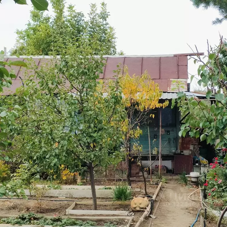 Дом в Астраханская область, Приволжский район, Электротранспортник СТ  ... - Фото 2