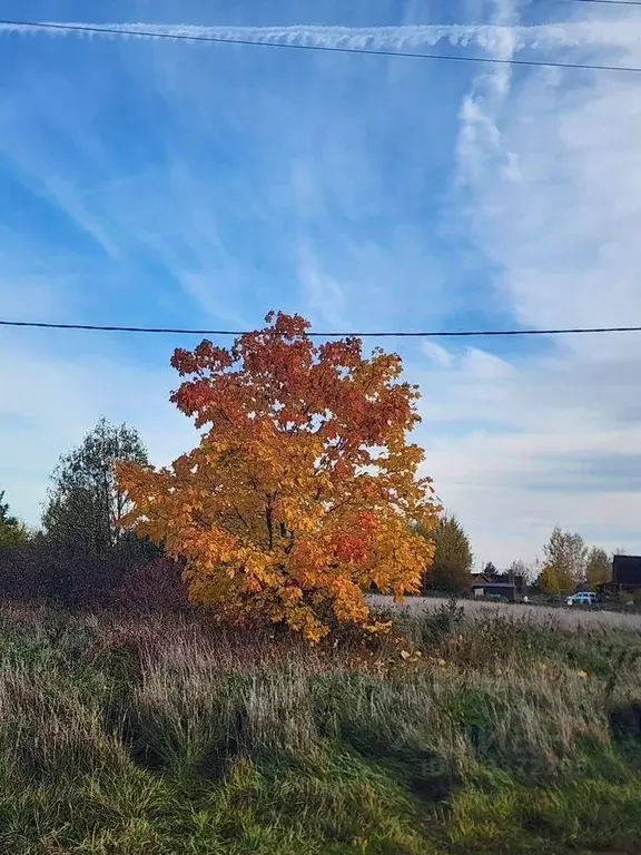 Участок в Новгородская область, Новгородский район, Ракомское с/пос, ... - Фото 0