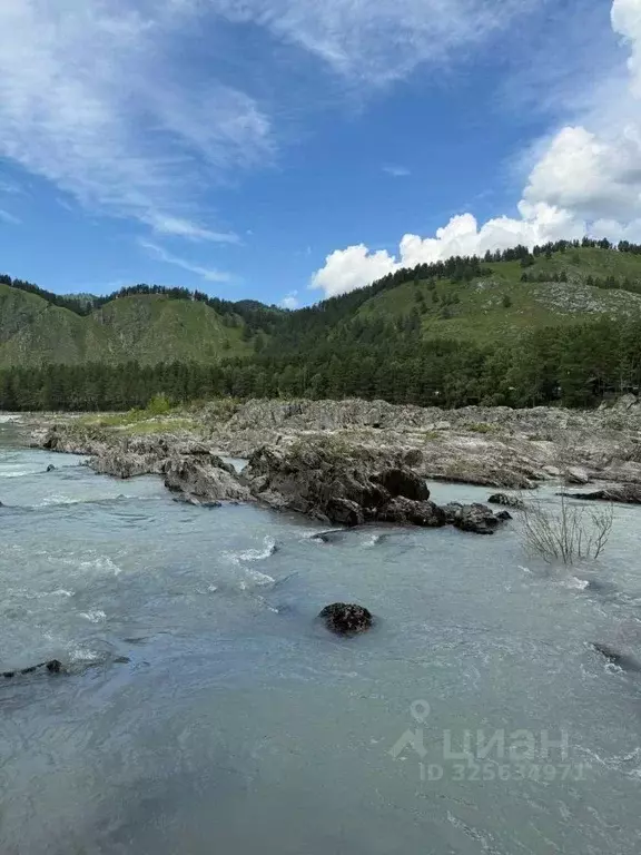 Участок в Алтай, Чемальский район, Аносинское с/пос  (47.0 сот.) - Фото 2