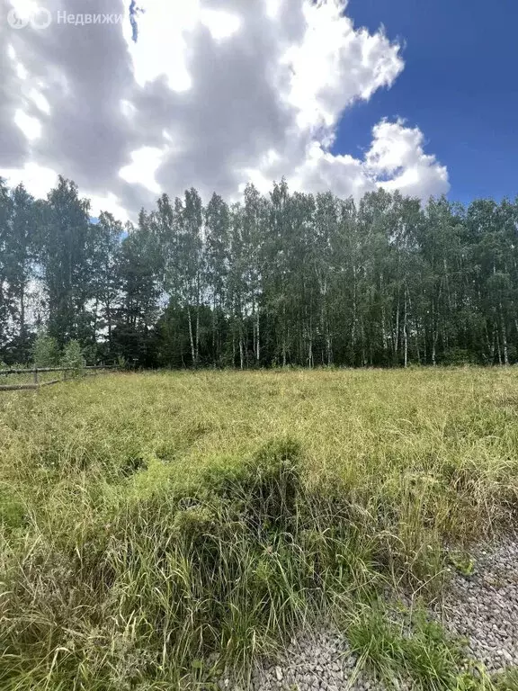 Участок в село Мраморское, Берёзовая улица (20 м) - Фото 2