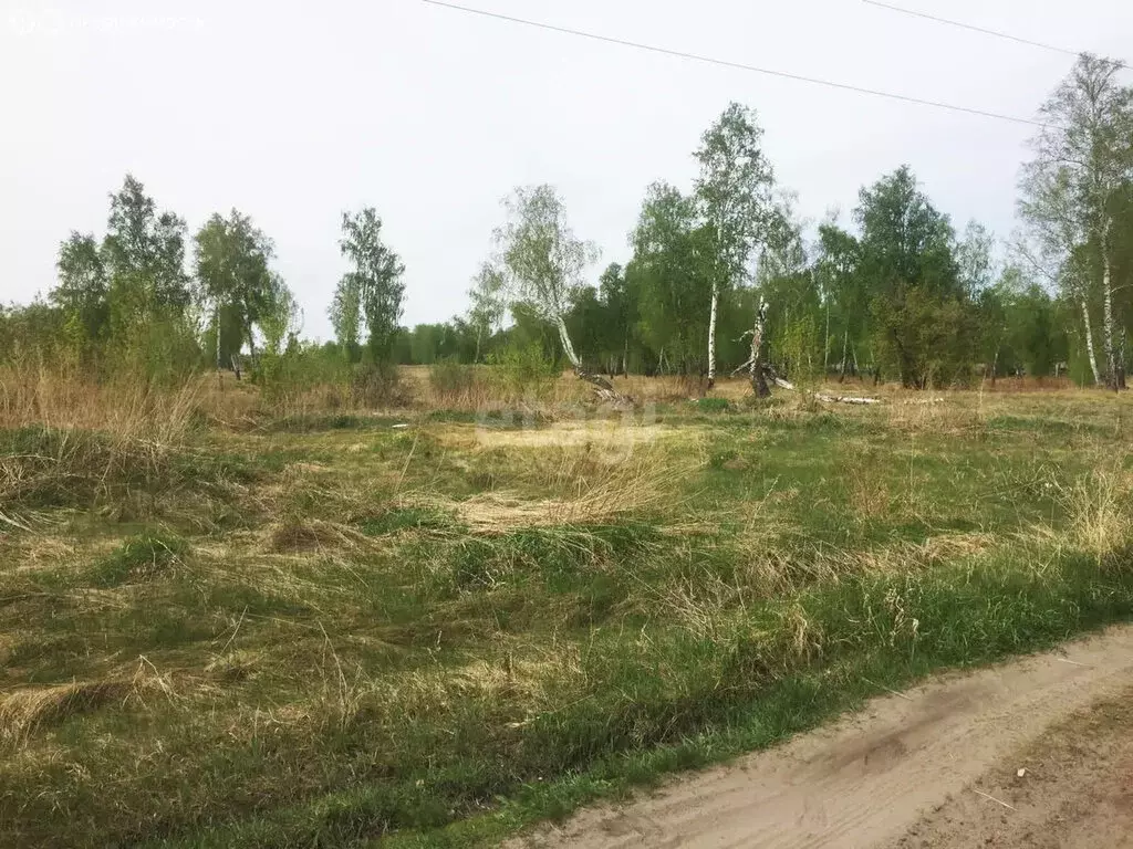 Участок в Печёнкинское сельское поселение, деревня Потапово (720 м) - Фото 0