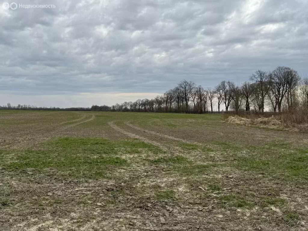 Участок в Калининградская область, Гурьевский муниципальный округ, ... - Фото 2