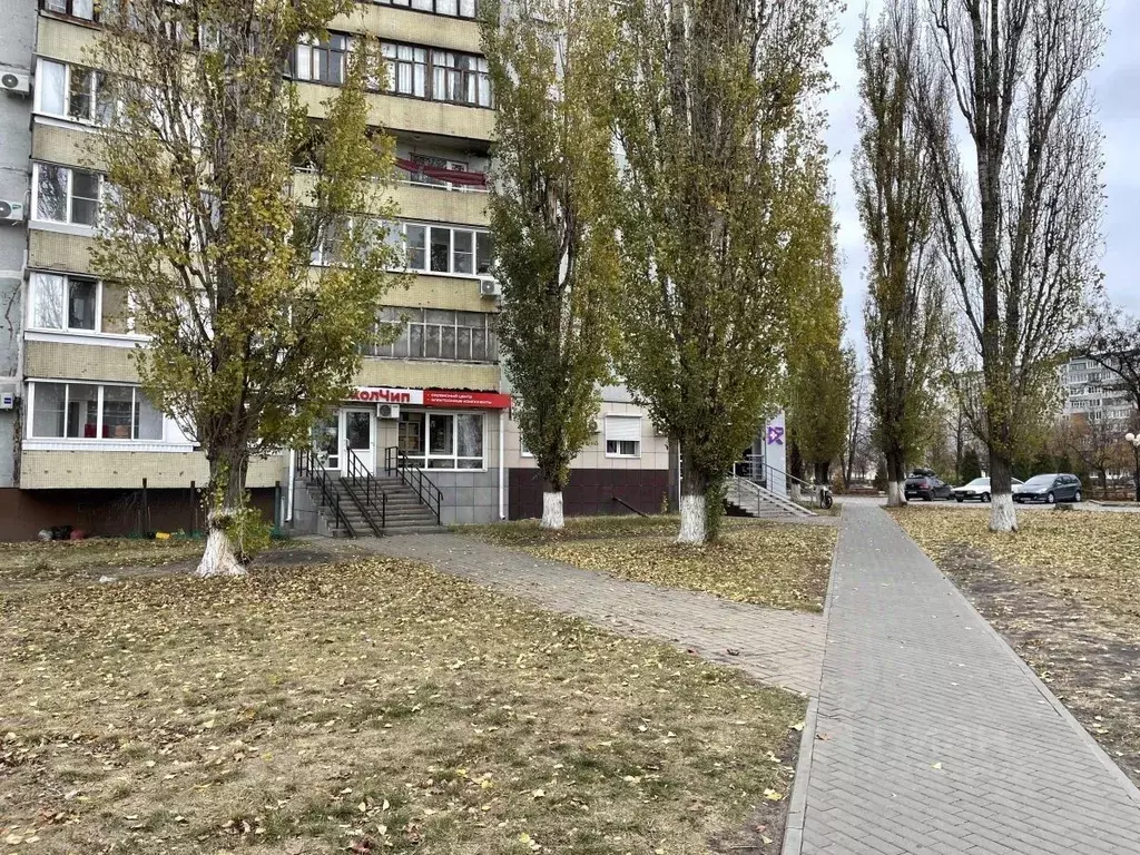 Помещение свободного назначения в Белгородская область, Старый Оскол ... - Фото 1