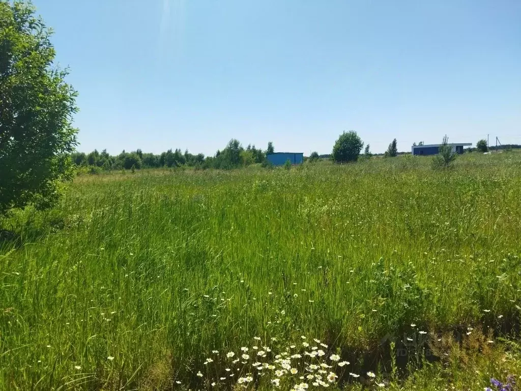 Участок в Тульская область, Ясногорский район, Иваньковское с/пос, ... - Фото 1