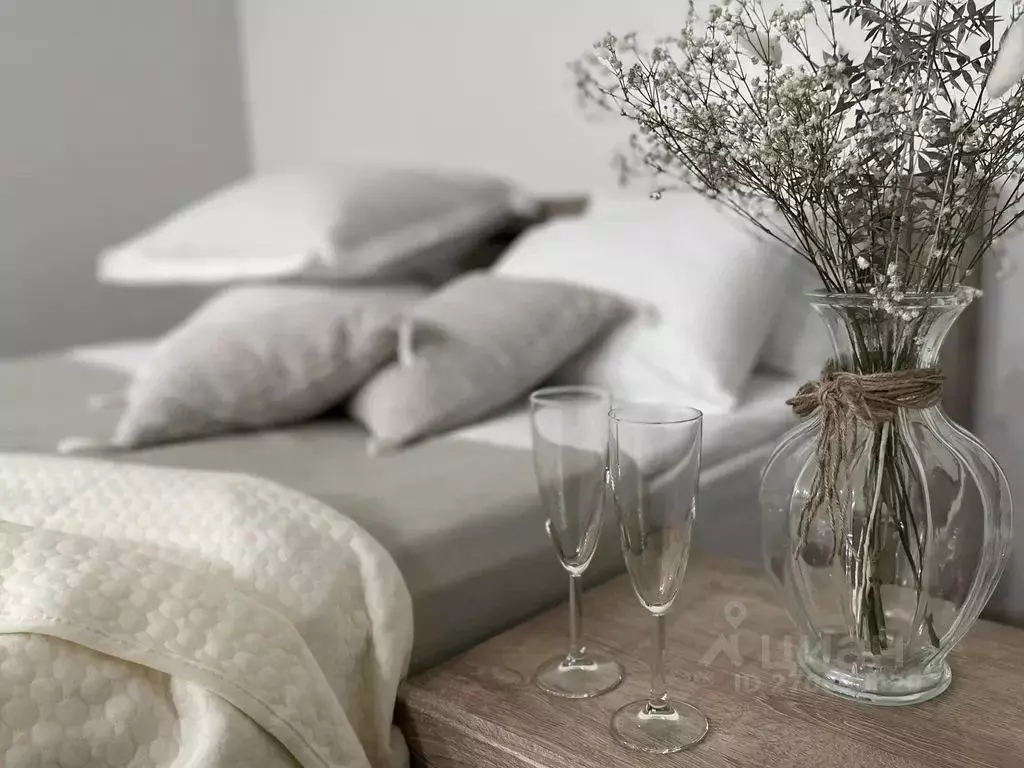 Студия Ставропольский край, Пятигорск просп. Калинина, 38 (26.0 м) - Фото 1