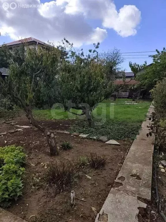 Участок в Севастополь, СТ Парус (4.1 м) - Фото 1