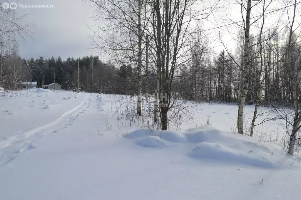 Дом в Эссойльское сельское поселение, территория Шомба (80 м) - Фото 2
