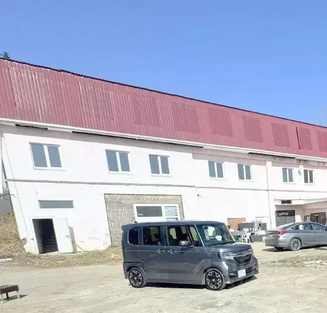 Помещение свободного назначения в Краснодарский край, Сочи городской ... - Фото 1