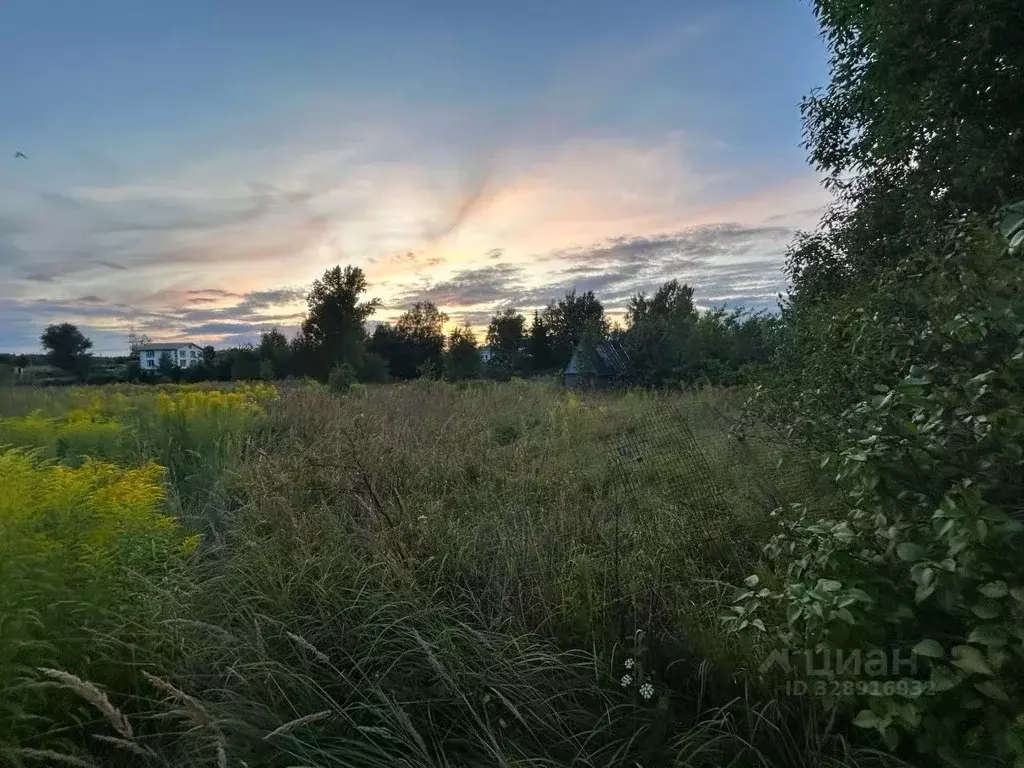 Участок в Нижегородская область, Нижний Новгород д. Подлесово, ул. ... - Фото 1