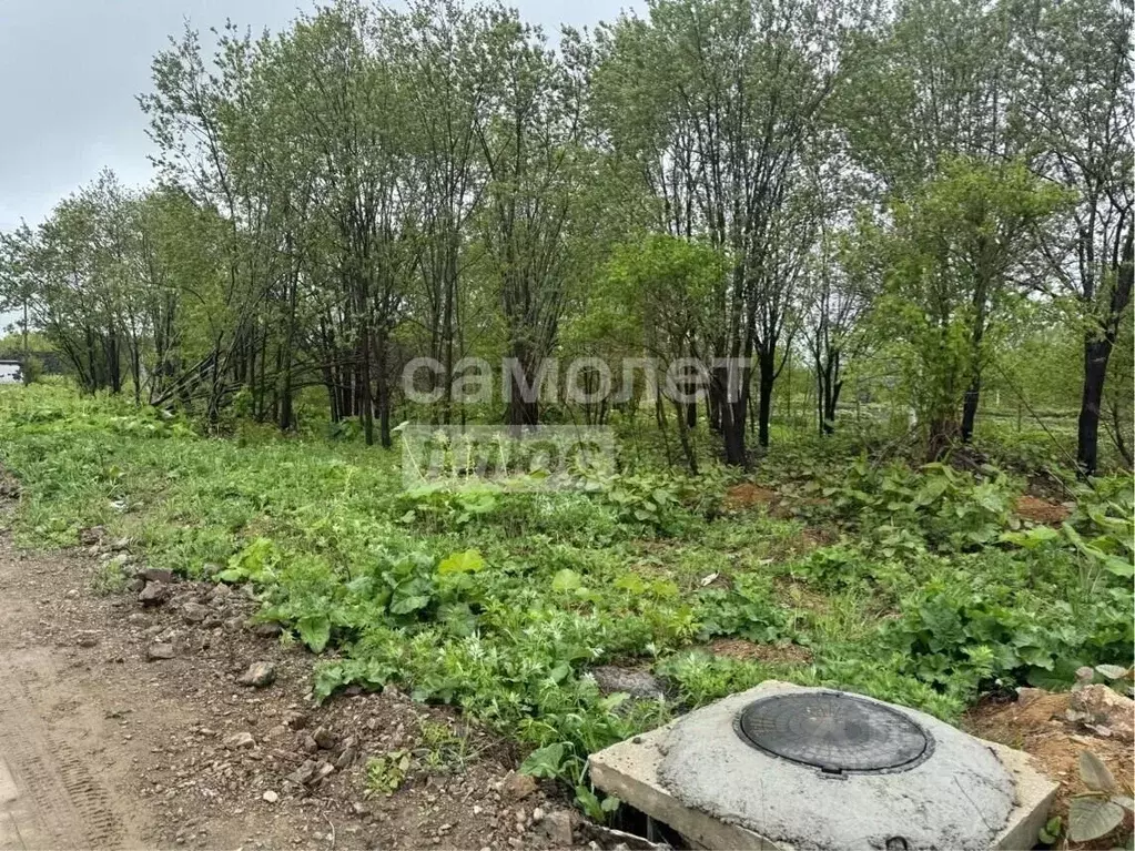 Участок в Сахалинская область, Долинский городской округ, с. Сокол ул. ... - Фото 2
