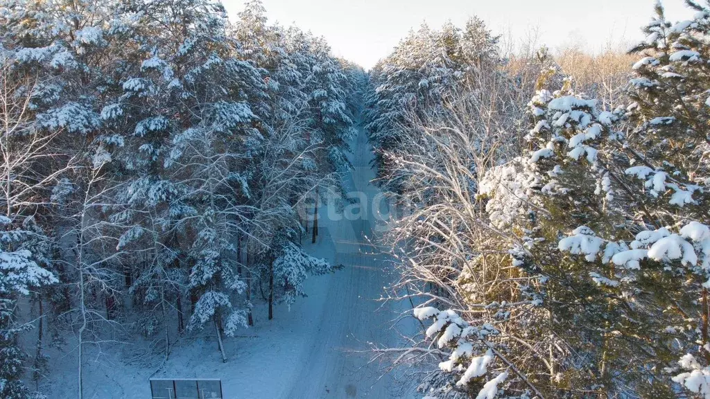 Участок 50,1 сот. (СНТ, ДНП) - Фото 0