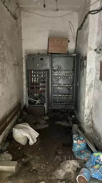 Помещение свободного назначения в Саратовская область, Саратов ул. 3-я ... - Фото 1