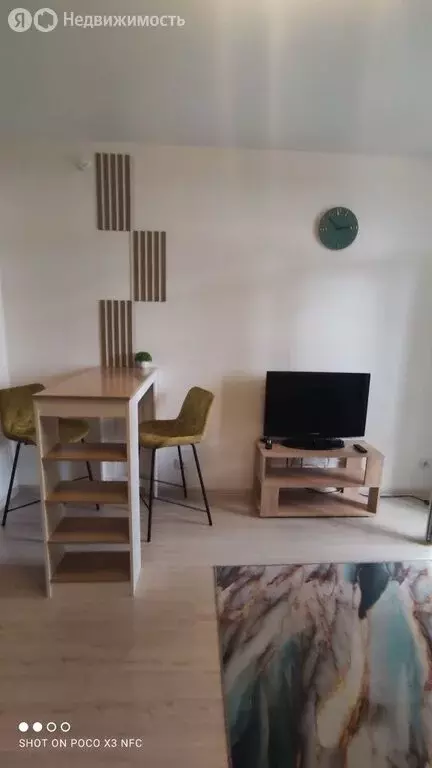 Квартира-студия: деревня Анкудиновка, Русская улица, 3 (25.8 м) - Фото 1