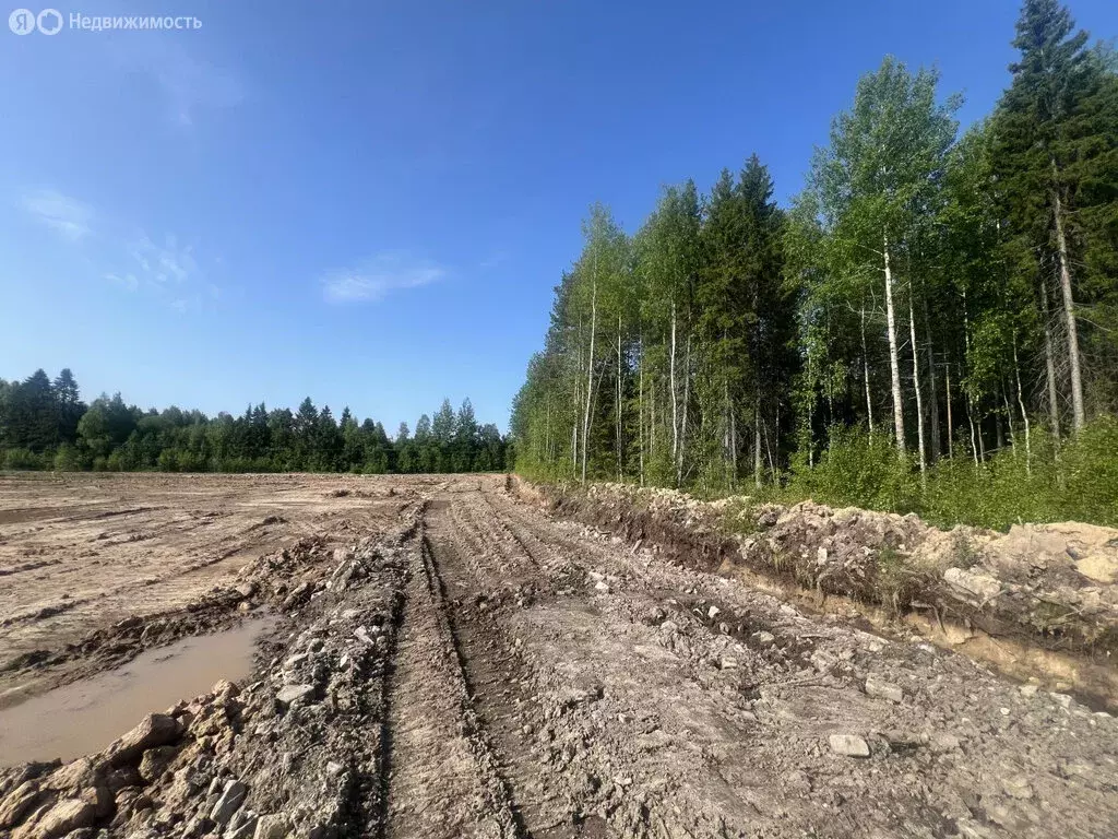 Участок в Архангельская область, Приморский муниципальный округ, ... - Фото 2