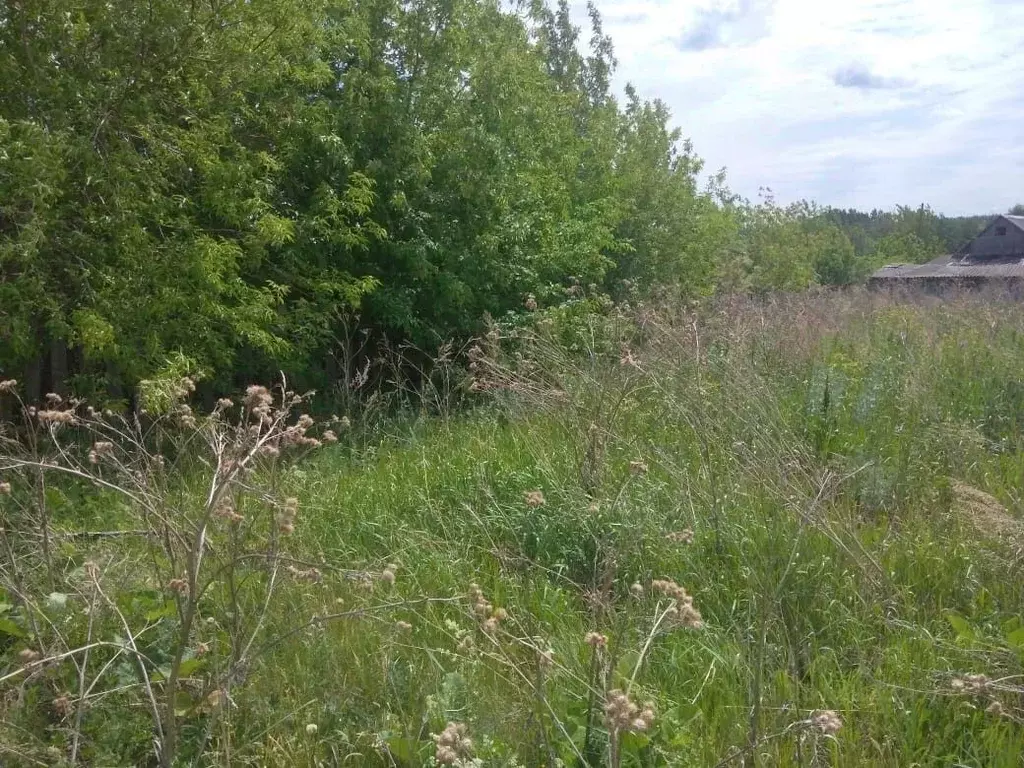 Участок в Свердловская область, Белоярский городской округ, пос. Режик ... - Фото 0