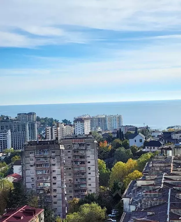 2-к кв. Краснодарский край, Сочи Ландышевая ул., 12/8 (40.0 м) - Фото 1